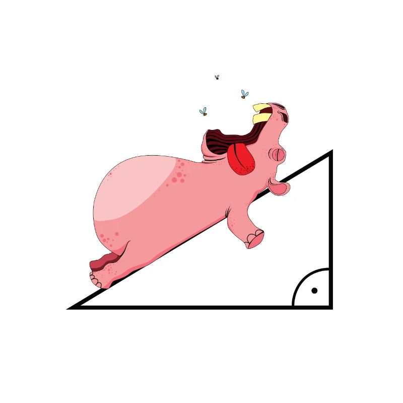 Nilpferd Hypotenuse Mathe Lustig