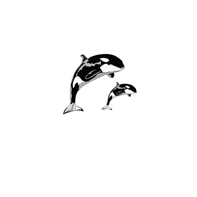 Orca Wales jumping