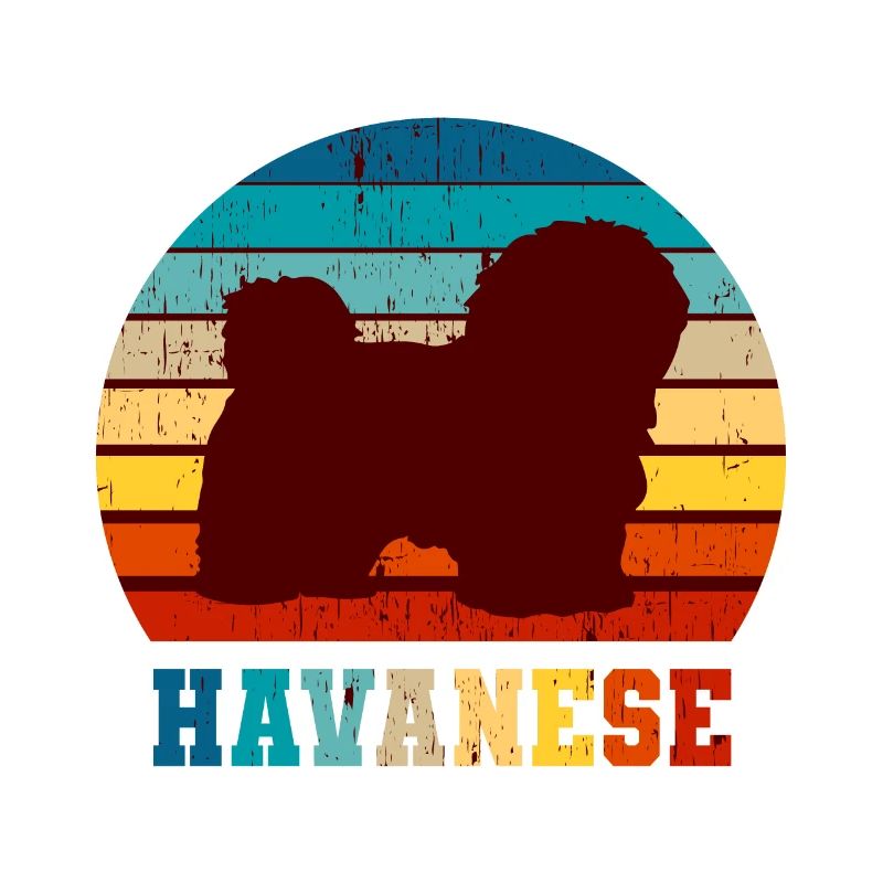 Havanese