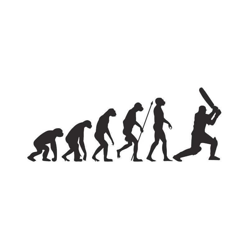 Cricket evolution