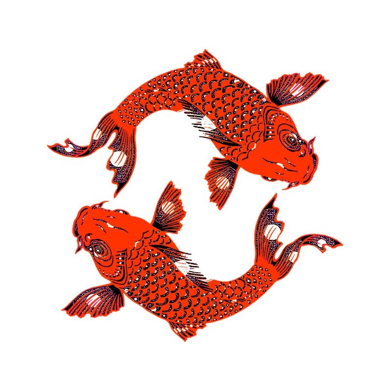 koi rot