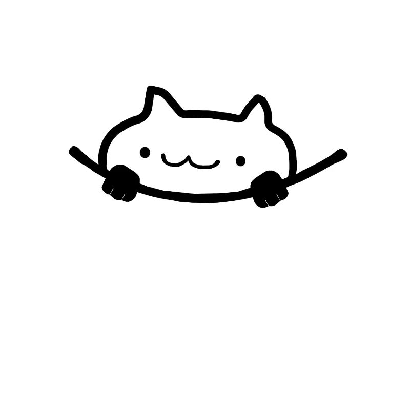 cute pocket cat