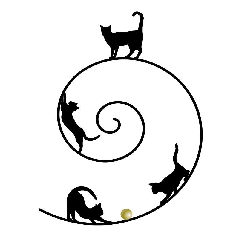 Chat Chat Chat Kitten Cat