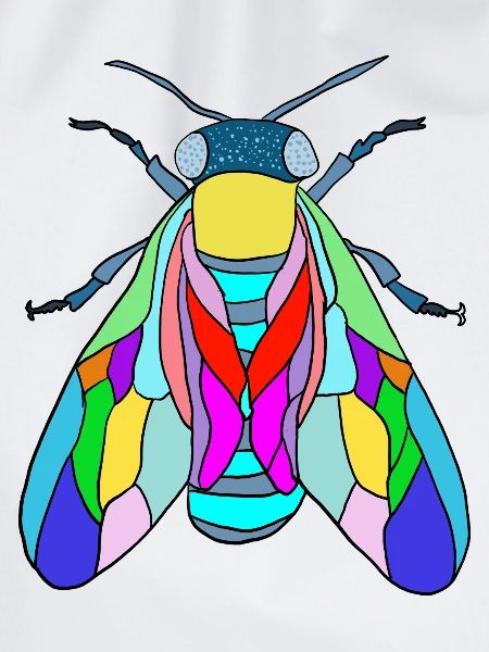 Fliege