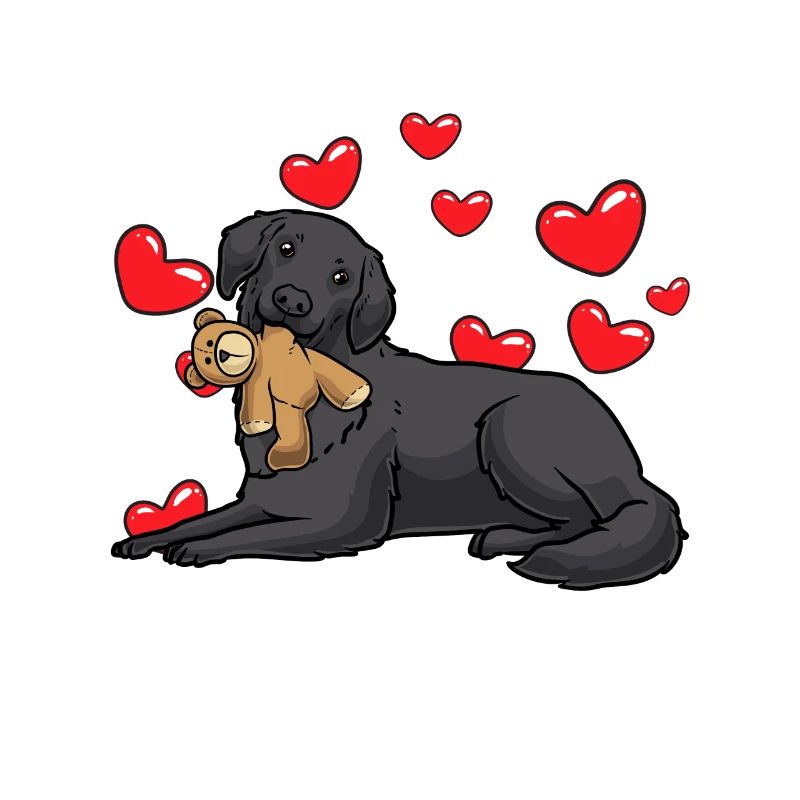Flat Coated Retriever Dog