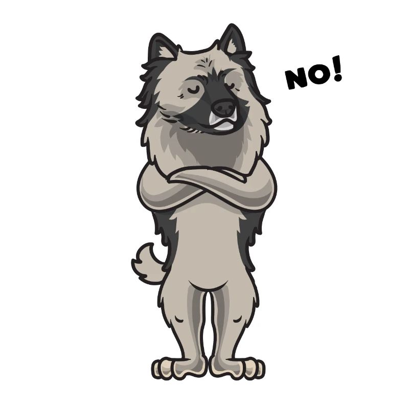 Sturer Wolfsspitz Keeshond
