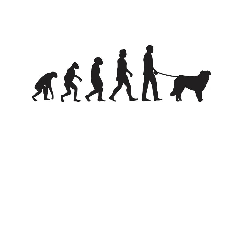 Évolution de Kuvasz