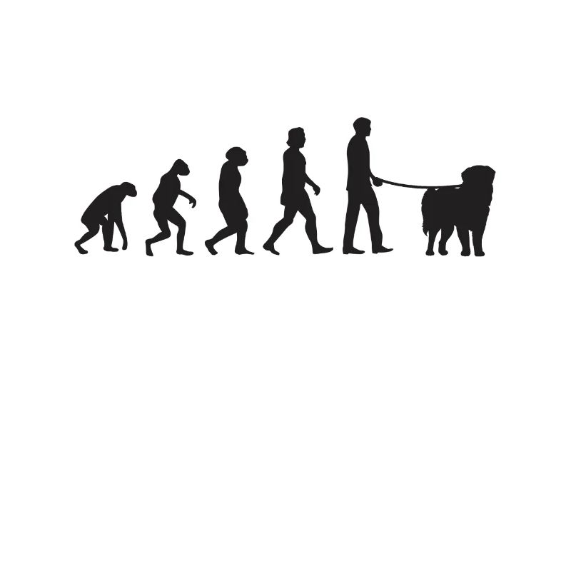 Leonberger Evolution