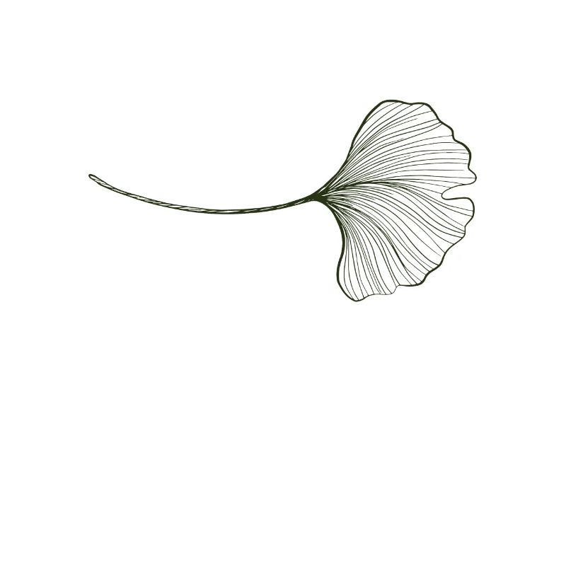 Ginko Leaf