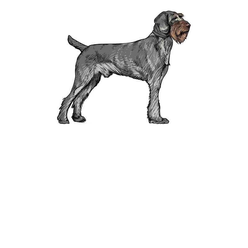 Deutsch Drahthaar I Jagdhund Vorstehhund Geschenk