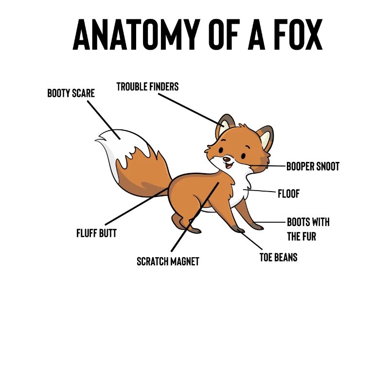 Humorvolle Anatomie eines Rotfuchswaldes