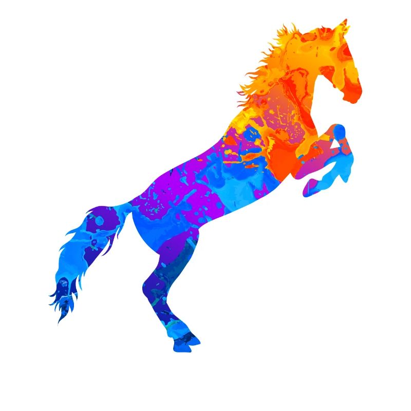 Pferd Pferde Pferdesport Pferdemädchen