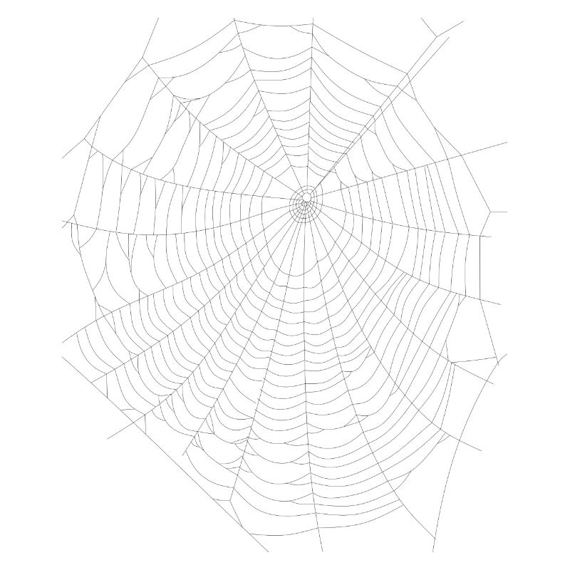 Web Spider Web Halloween