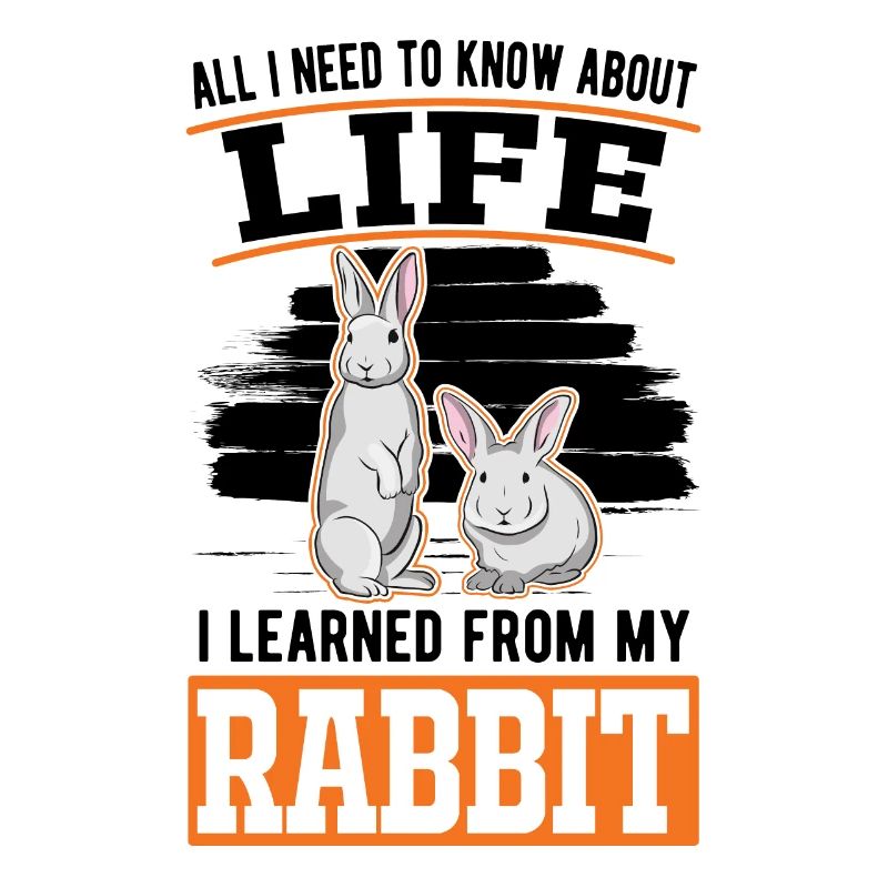 Rabbit Gift Rabbit Rabbit