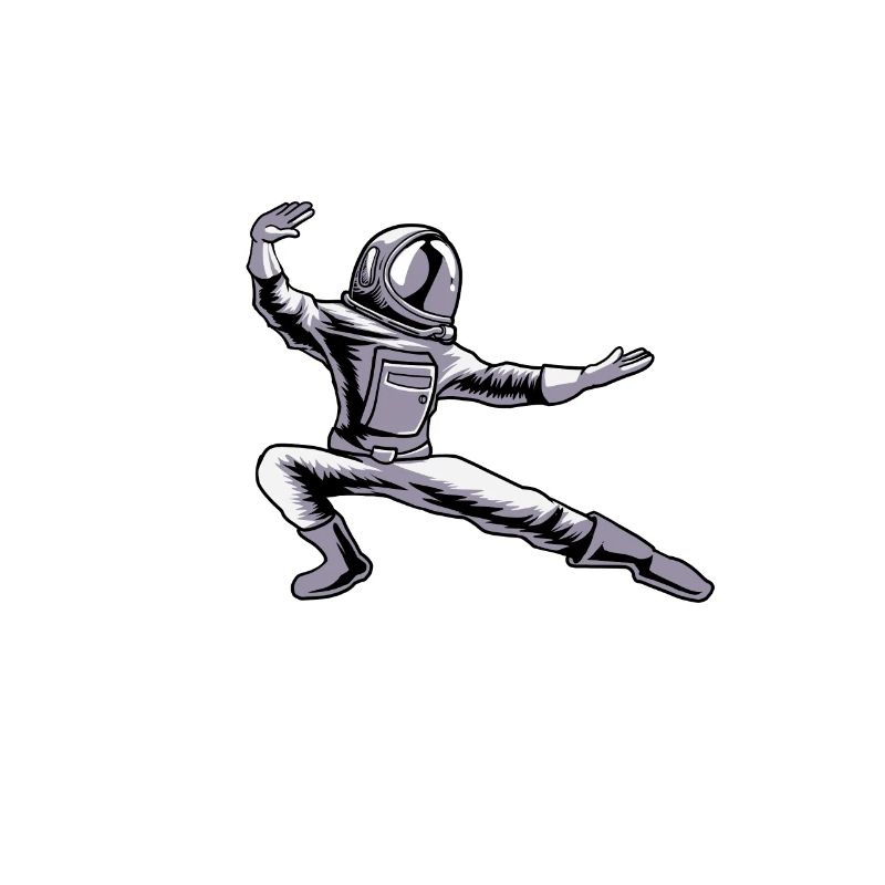 Kung Fu Astronaut