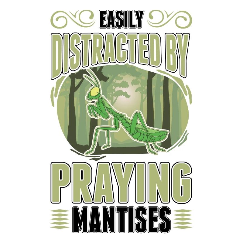 Gottesanbeterin Praying Mantis Fangschrecke