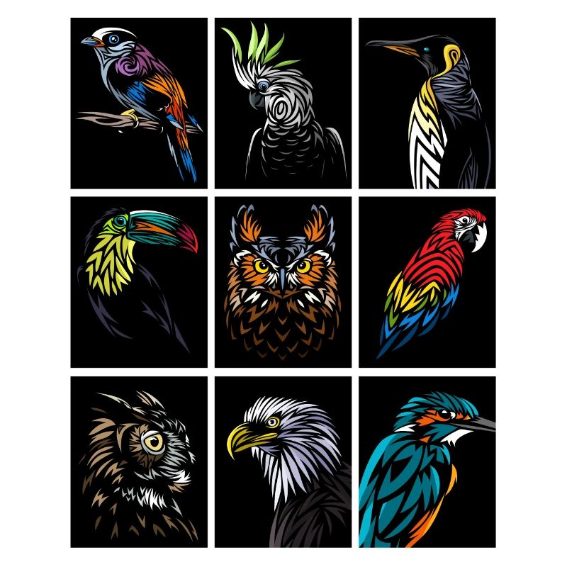 Rectangles avec des oiseaux