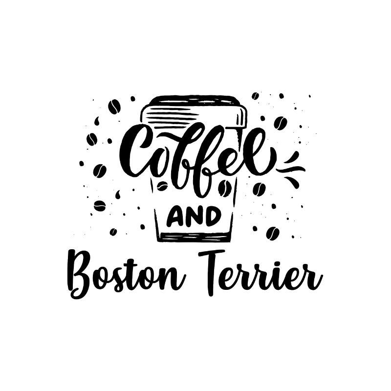 Boston Terrier