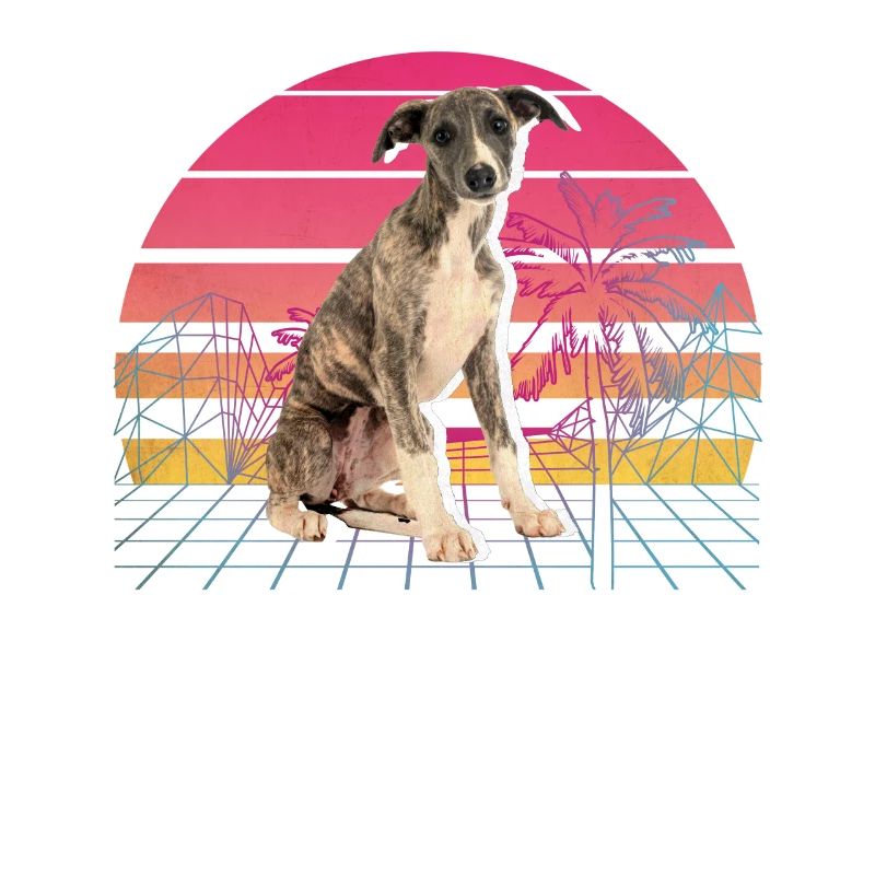 Whippet