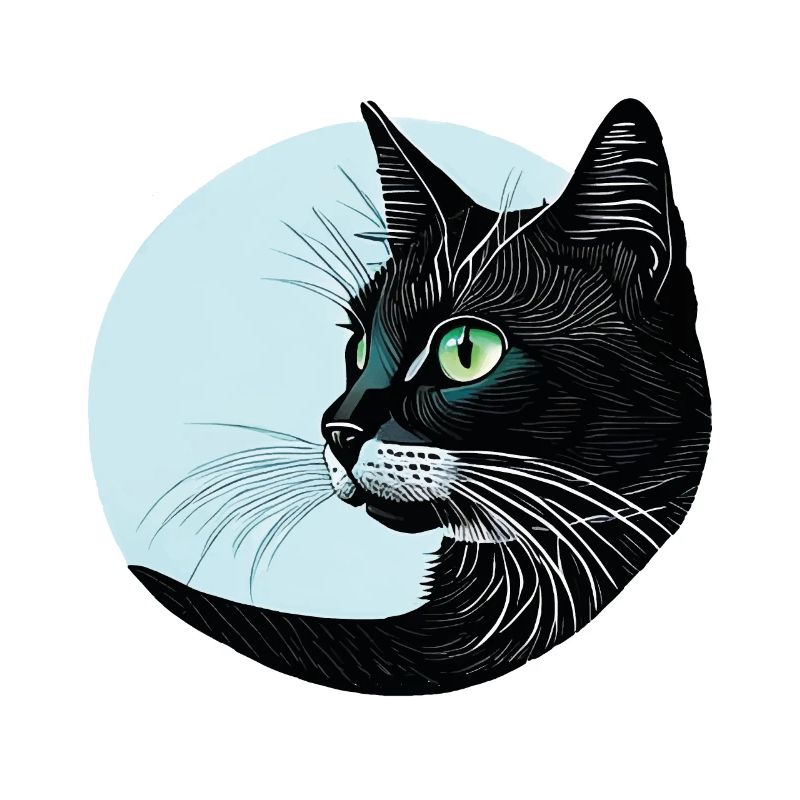 Chat noir