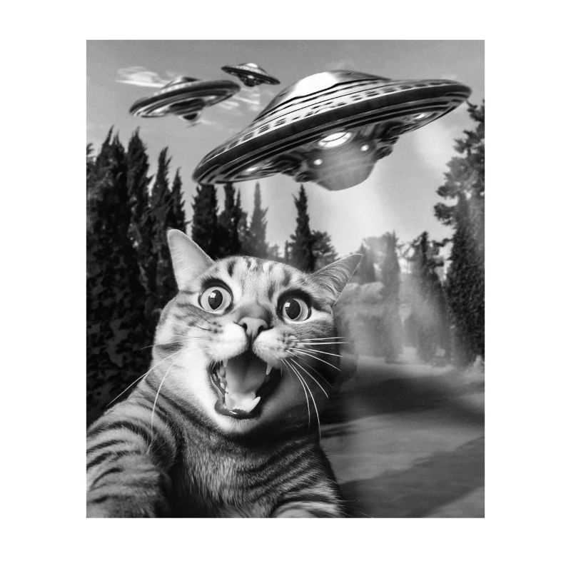 Frightened Cat Selfie With UFOs Fun Cat