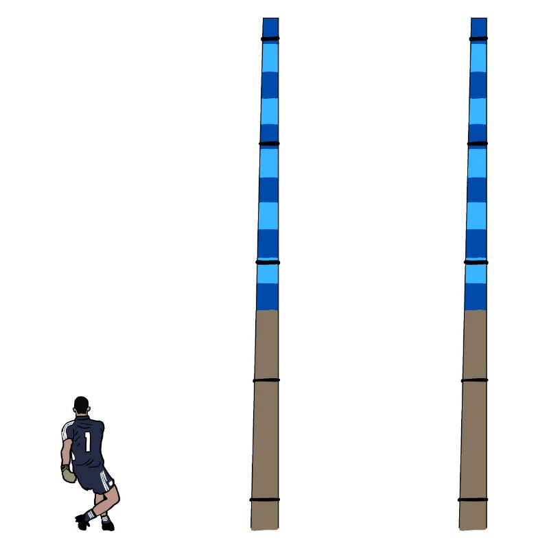 Cluxton for Dublin