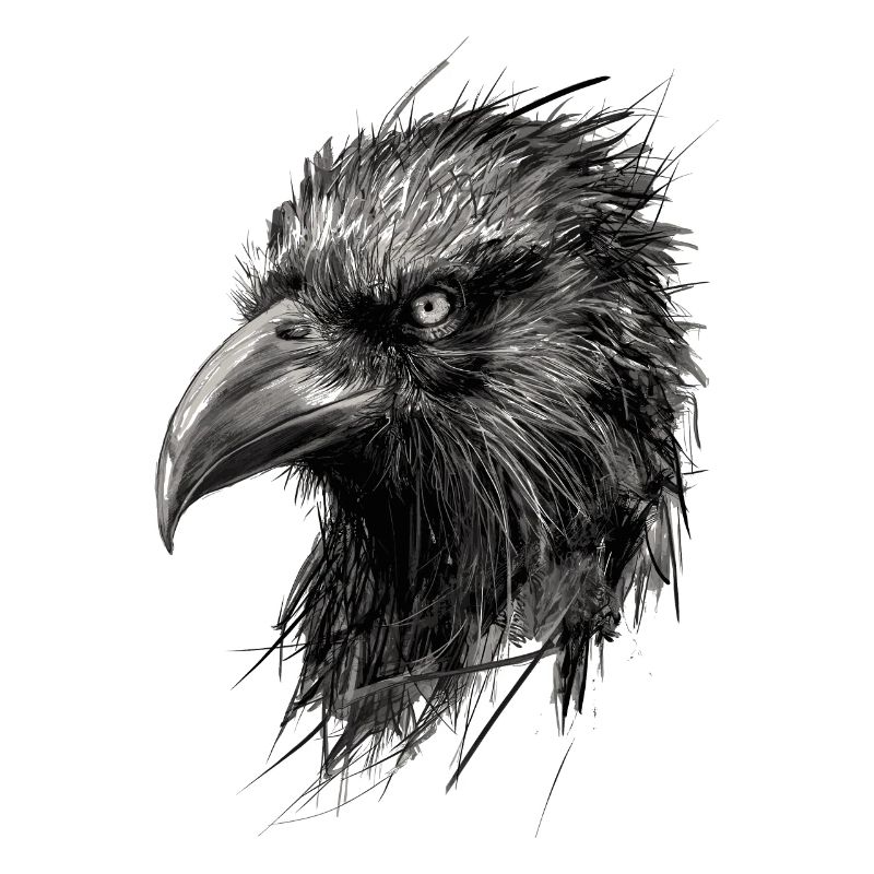 Raven Drawing Abstract Illustration