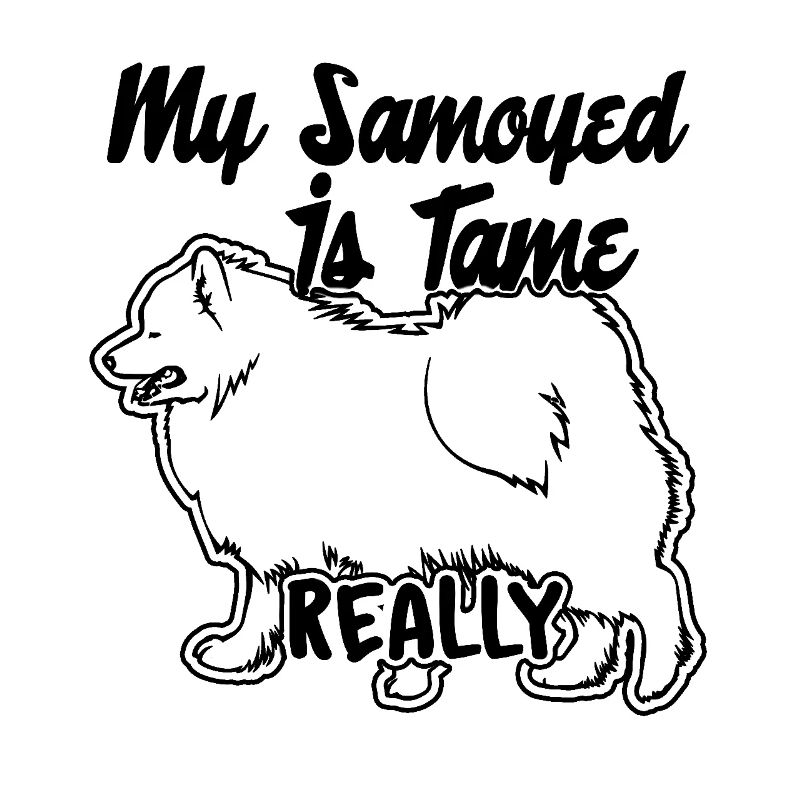 My Samoyed Is Tame Really