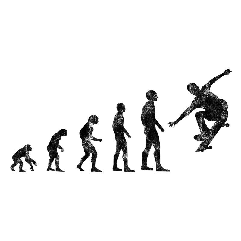 Skateboarder Skateboard Evolution Skate Skateing