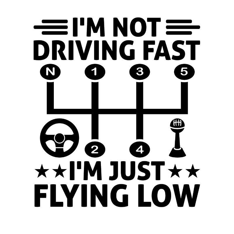 Driving License Passed New Driver Permit Driving S
