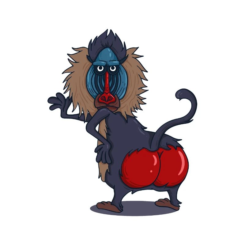 Wildlife Red Ass Baboon