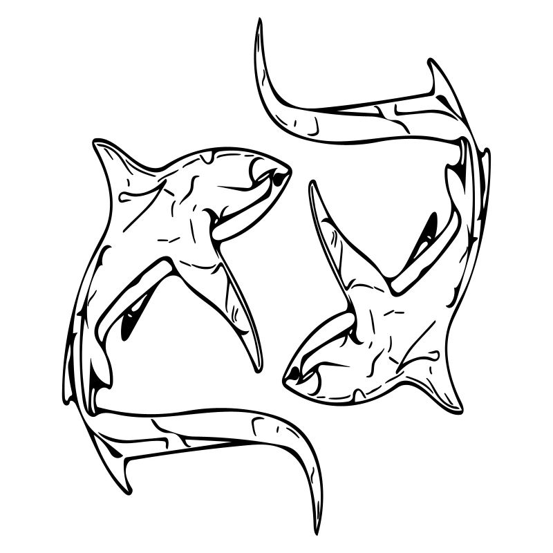 Requins renards élégants en cercle