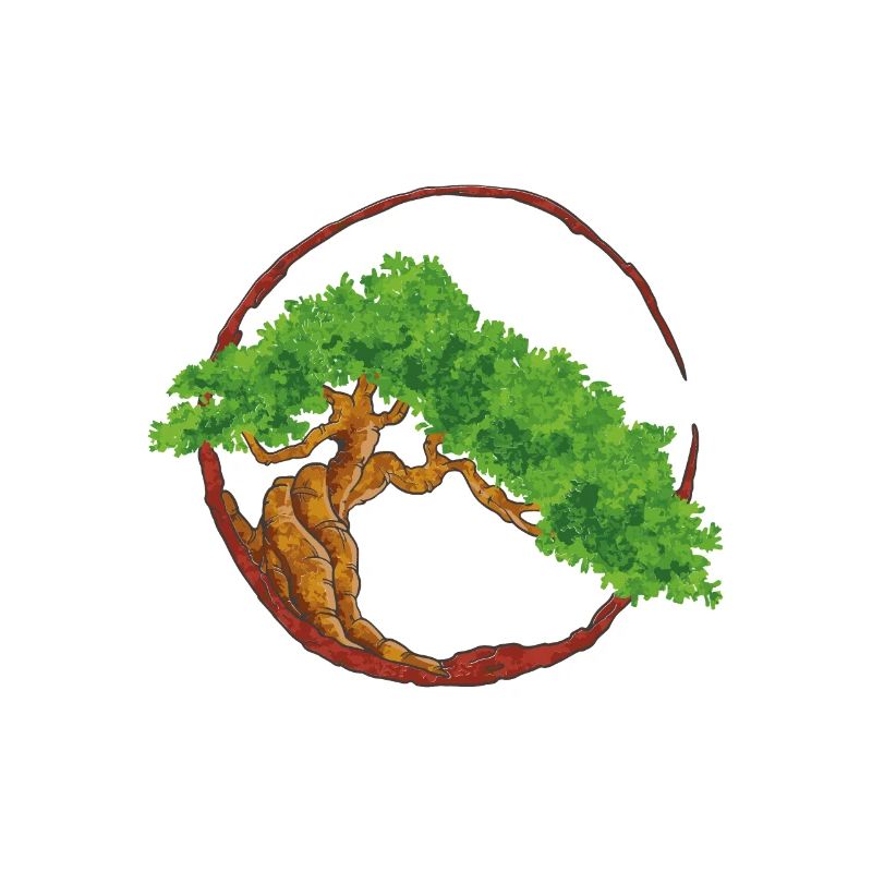 Tree Japanese Bonsai Tree