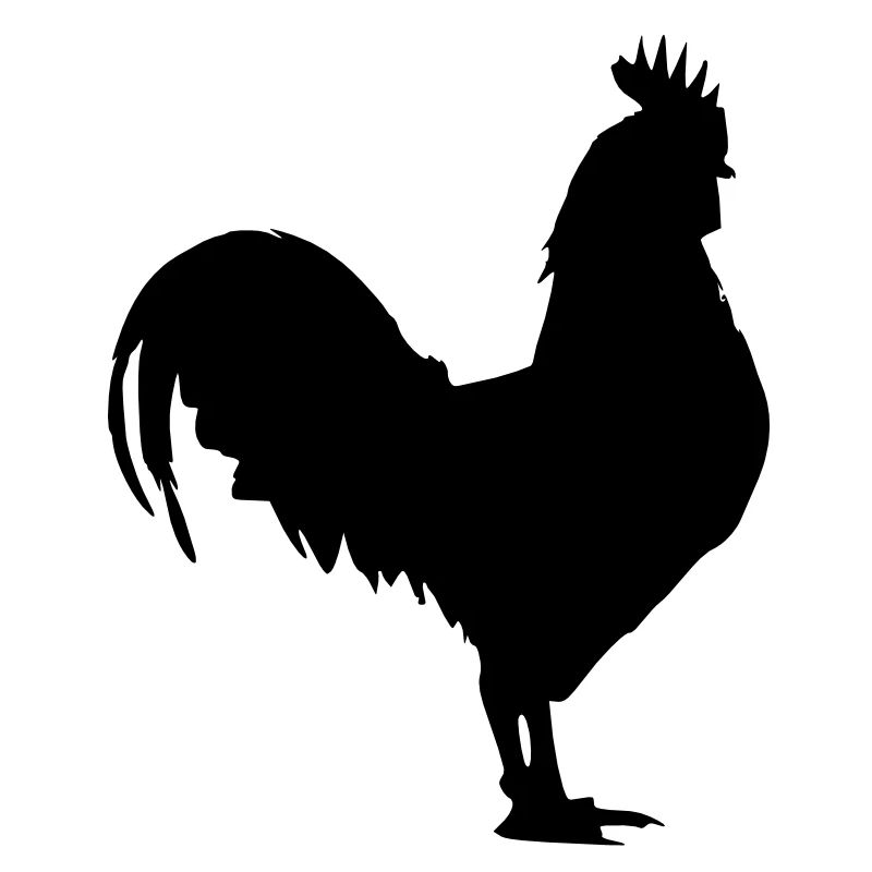 coq