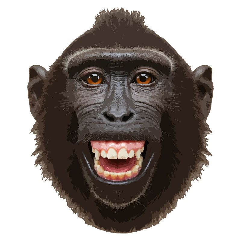 Monkey head