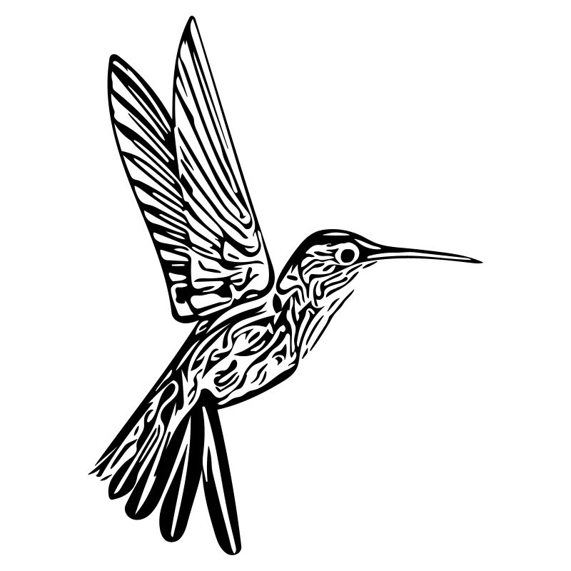 Kolibri