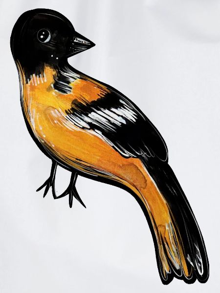 Crimson Robin auf Mitternacht