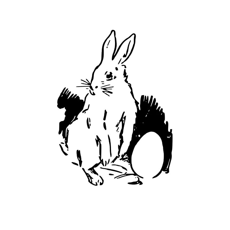 Easter bunny Easter bunny