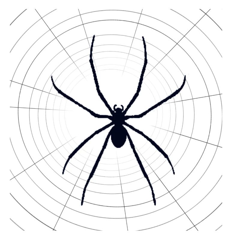 Spider Spider Boys Pull