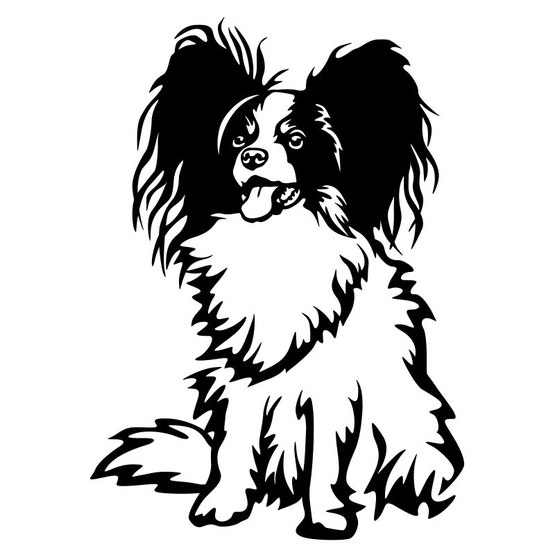 Papillon