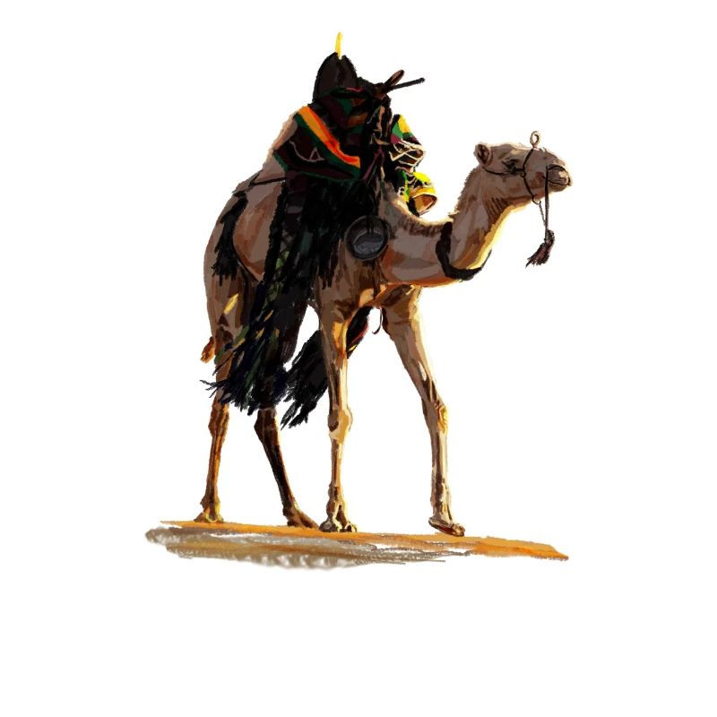 Desert Camel