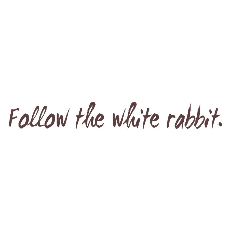 Follow the white rabbit programming cadeau