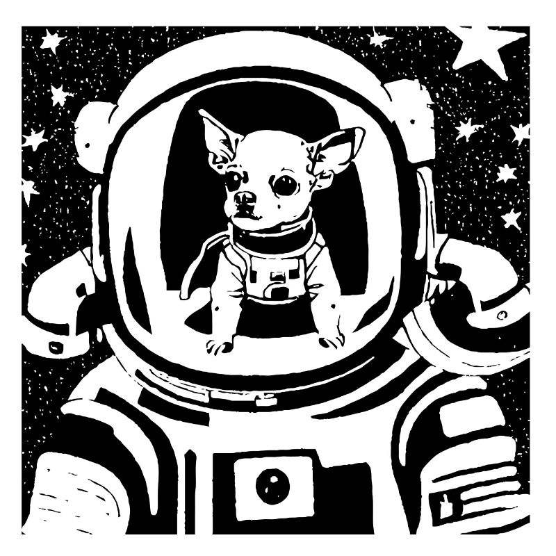 Space Commander Chihuahua