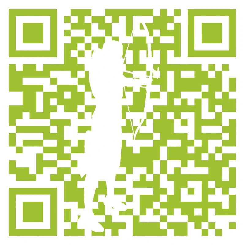 Bogen Langbogen Armbrust