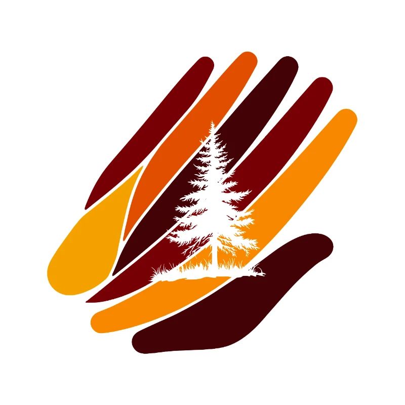 Forestry Sustainability Environment