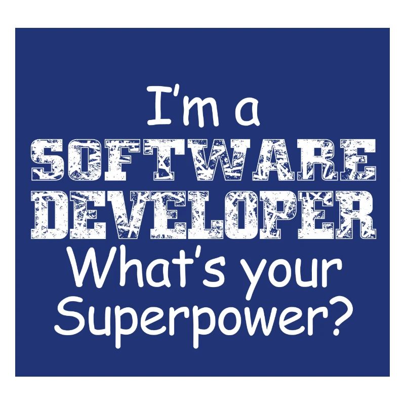 Software Entwickler