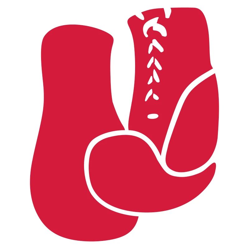 Boxhandschuhe Boxer boxen