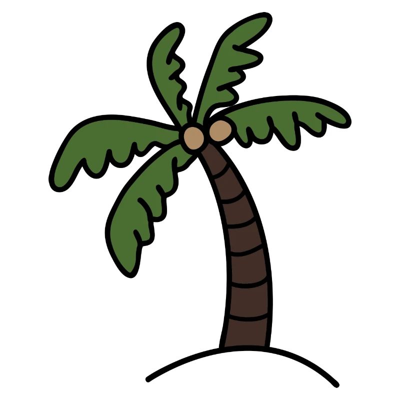 Palm tree