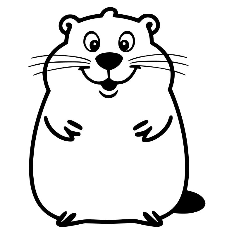 Chubby beaver as vector illustration