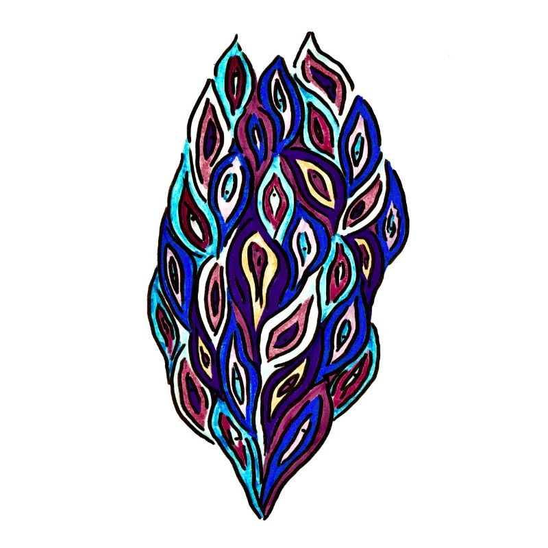 Vulvas